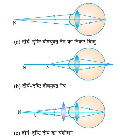 मानव नेत्र तथा रंगबिरंगा संसार