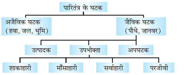 Class-10 Science Chapter 15. हमारा पर्यावरण- परितंत्र के घटक (Components of Ecosystem)