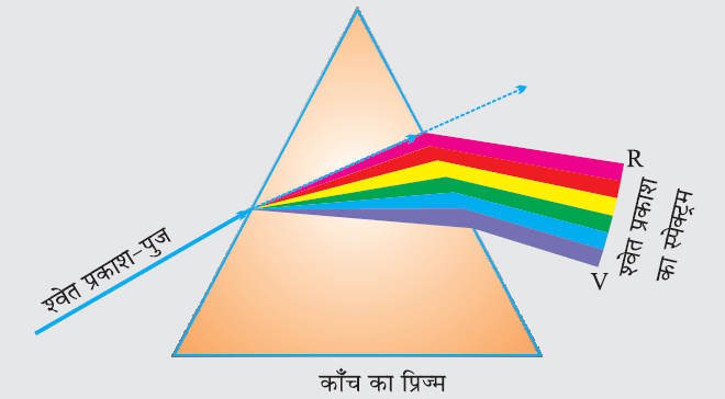 मानव नेत्र तथा रंगबिरंगा संसार