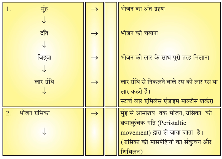जैव प्रक्रम