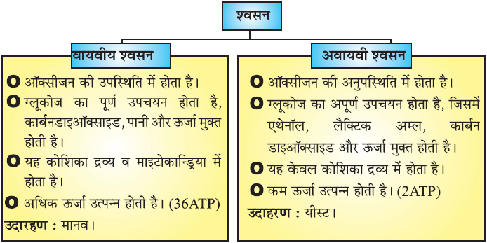 जैव प्रक्रम