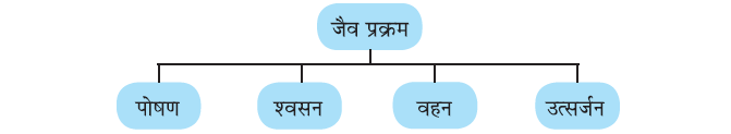 जैव प्रक्रम