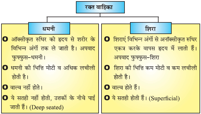 जैव प्रक्रम