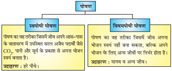 जैव प्रक्रम- पोषण (Nutrition):
