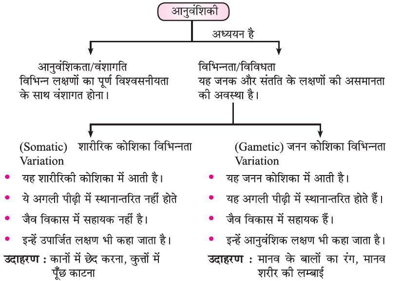 Class-10 Science Chapter 9- अनुवांशिकता एवं जैव विकास