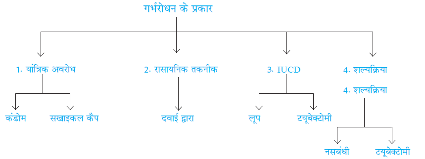 Class-10 Science Chapter 8. जीव जनन कैसे करते हैं?