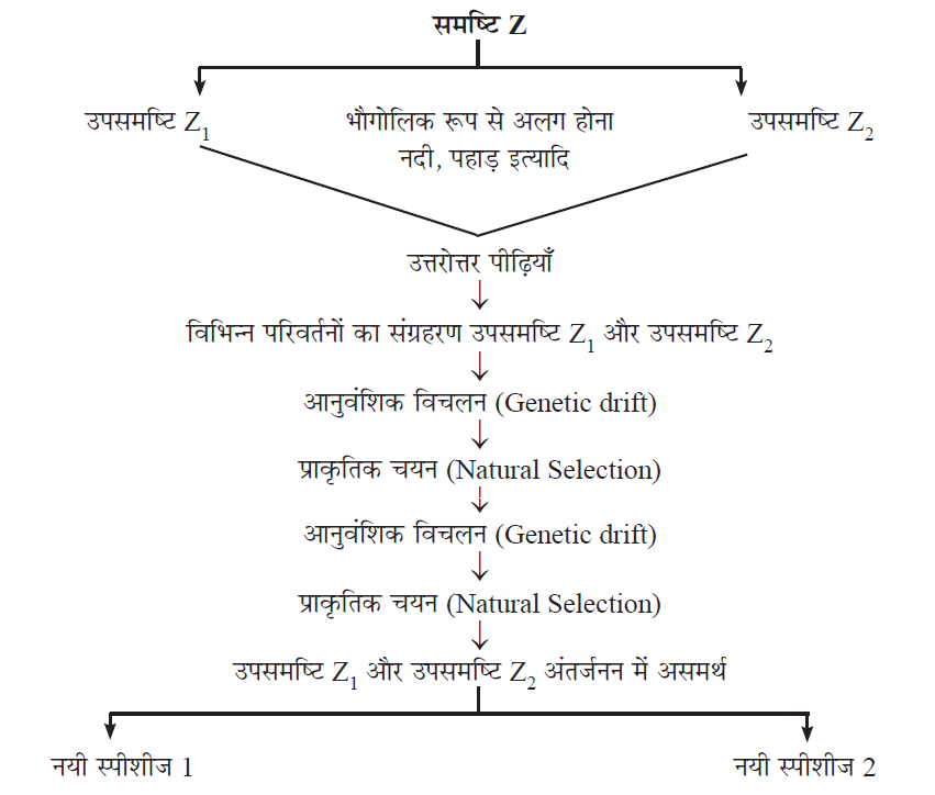 Class-10 Science Chapter 9- अनुवांशिक विचलन