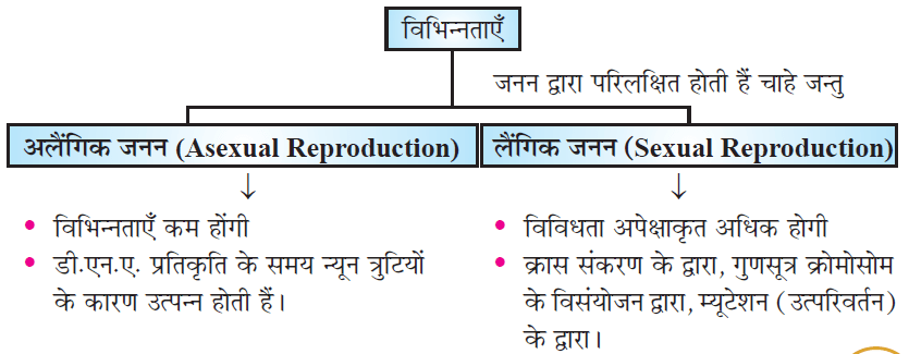 Class-10 Science Chapter 9- जनन के दौरान विभिन्नताओं का संचयन