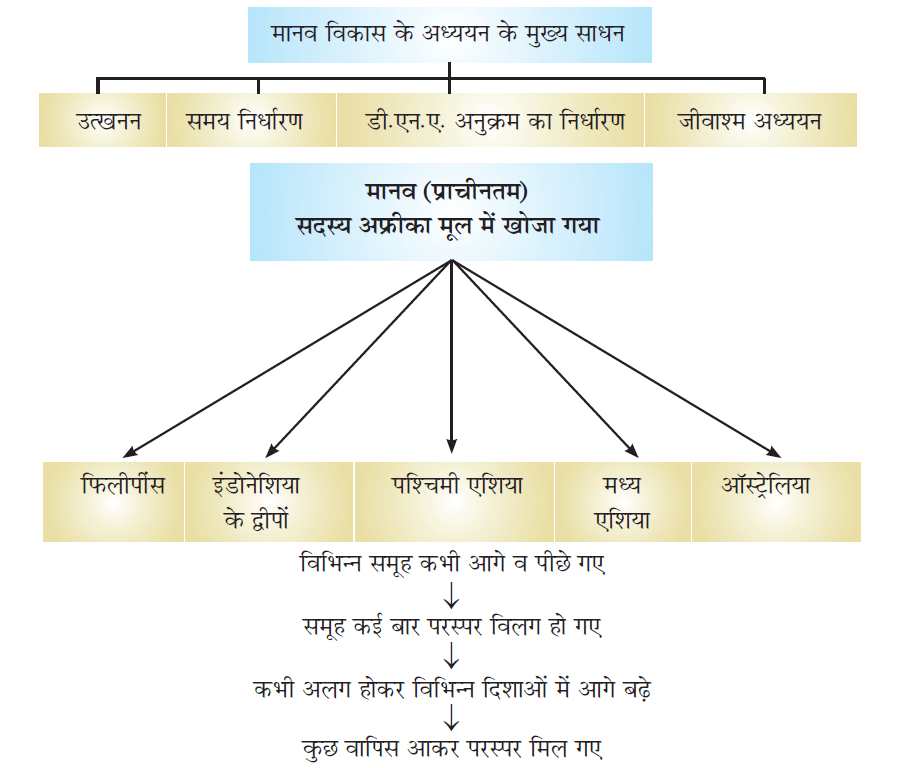 Class-10 Science Chapter 9- मानव विकास (Human Evolution):