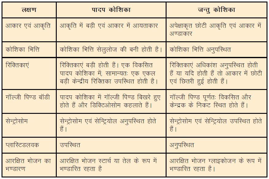 पादप एवं जंतु कोशिका में अंतर