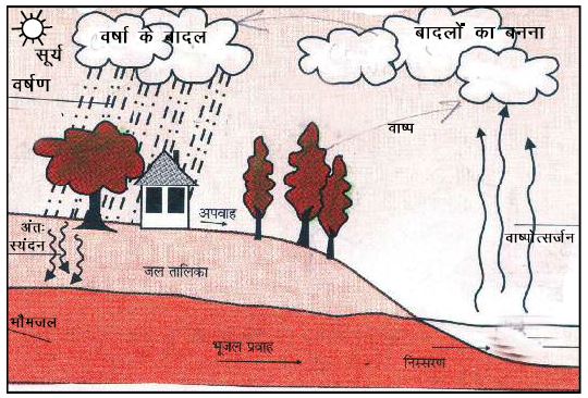 जल चक्र (Water Cycle): प्राकृतिक संपदा